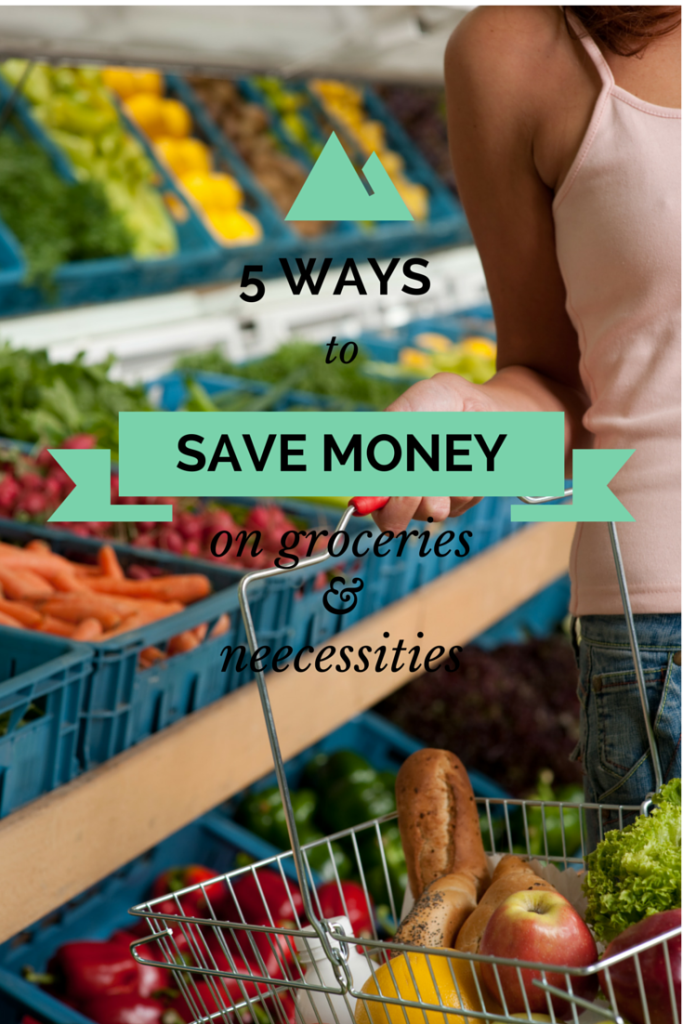 5 Ways to Save Money on Groceries and Necessities