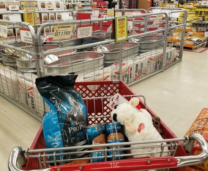 Bella's Visit to Tractor Supply