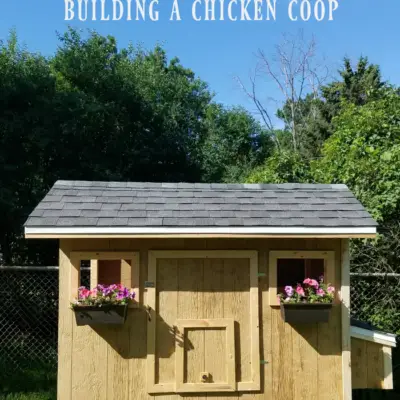 Roofing 101: Building a Chicken Coop