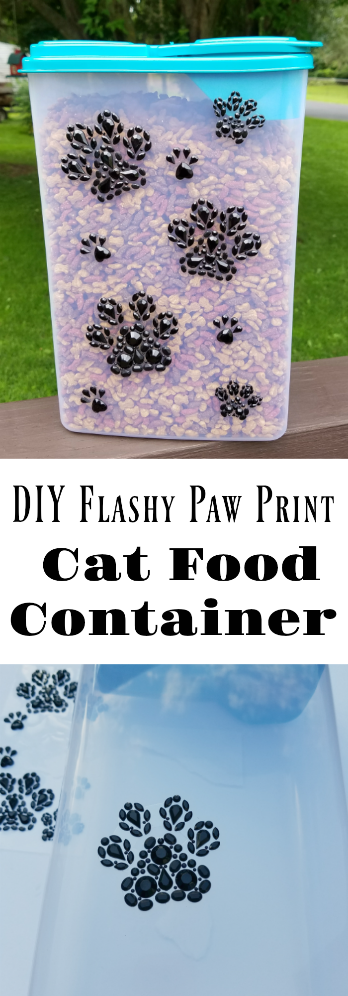 DIY Cat Food Container