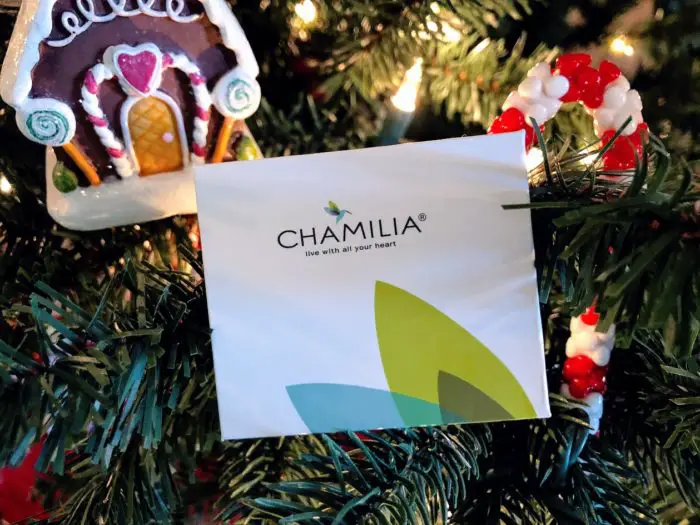 Chamilia Wishes You "Peppermint" Joy this This Holiday Season!