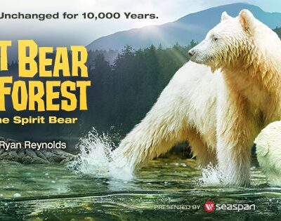 Great Bear Rainforest Documentary is Coming to Orlando February 17th!