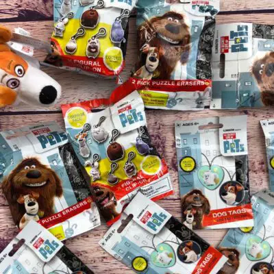 This fun filled package contains 8 random items, including Dog Tags, puzzle erasers, keychains, and Plush. Over $25 in value fun!