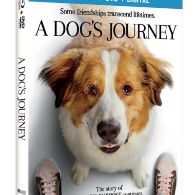 A Dog's Journey on Digital, Blu-ray & DVD