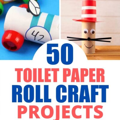 50 Craft Ideas Using Empty Toilet Paper Rolls