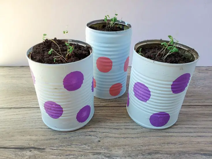 Polka-dot Upcycled Can Planters & Planting Flowers from Seeds