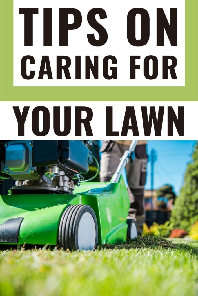 These tips on lawn care for beginners can help you get the yard that you've always wanted, so that you can relax in your outdoor space while enjoying the fresh air.