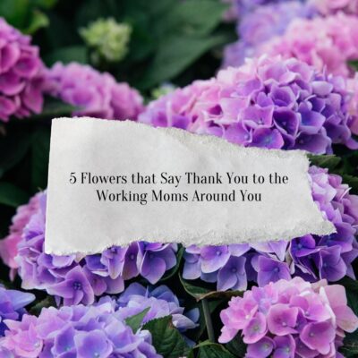 5 Flowers that Say Thank You to the Working Moms Around You