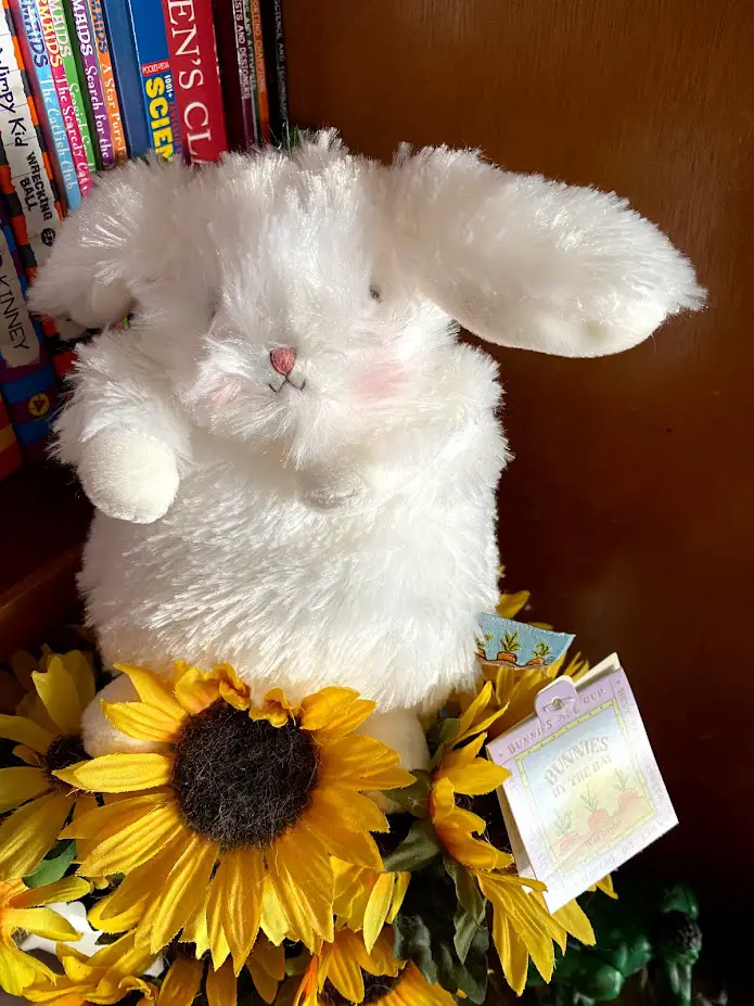 Bunnies by the Bay Make for ADORABLE Preschool Companions 